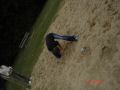 DSC01619.JPG