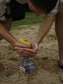 DSC01620.JPG