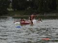 DSC01668.JPG